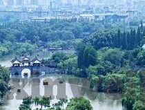 国产片精品一区二区-国产片，一区二区的艺术与情感交织
