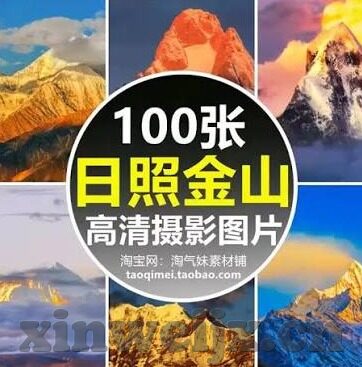 伦理片宅宅网-伦理片与宅文化的深度交织，宅宅网的独特视角