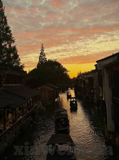 糖心vlog官网福利-糖心vlog，探索你的专属福利天地